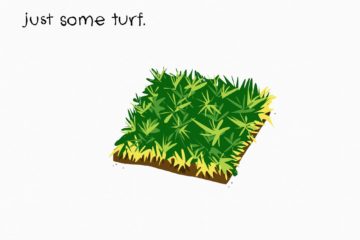 turf